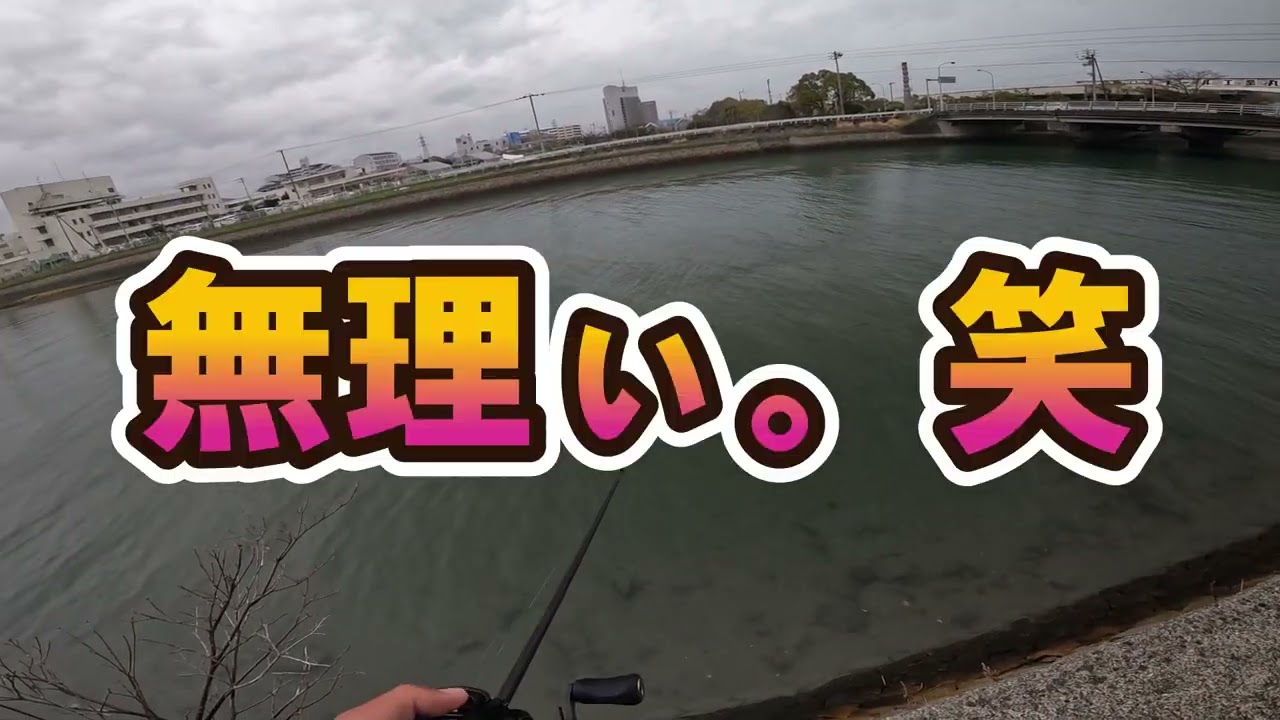 【チニング】ゼロチヌ　season3　扁平で大きいワームは口に入らないのか？　デプス　ブルフラット3インチ【チヌ】