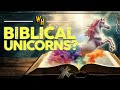 Exploring Surprising Biblical Stories