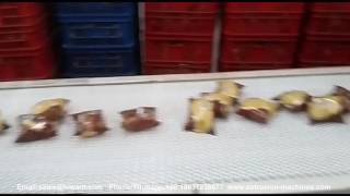 Y shape Packaging Line For Bread