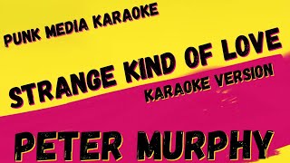 Video thumbnail of "PETER MURPHY ✴ STRANGE KIND OF LOVE ✴ KARAOKE INSTRUMENTAL ✴ PMK"