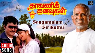 Sengamalam Sirikuthu Song | Dhavani Kanavugal | Ilaiyaraaja | K Bhagyaraj, Raadhika | SPB | S Janaki