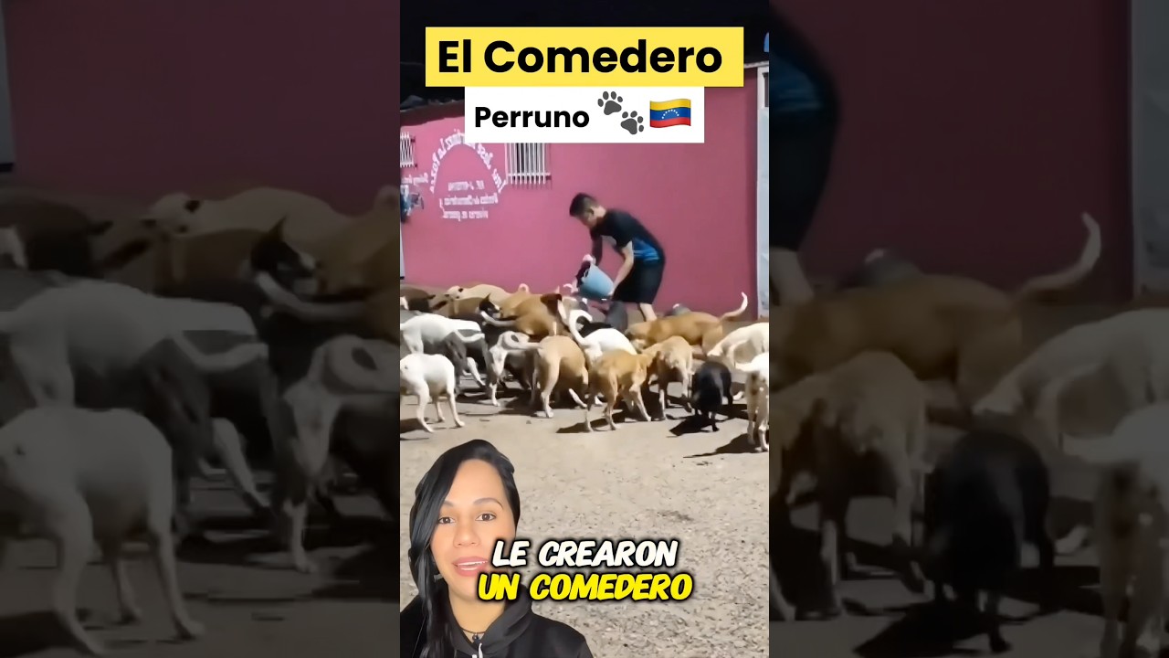 El Comedero Perruno 🐾🇻🇪