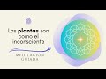 Las plantas son como el inconsciente