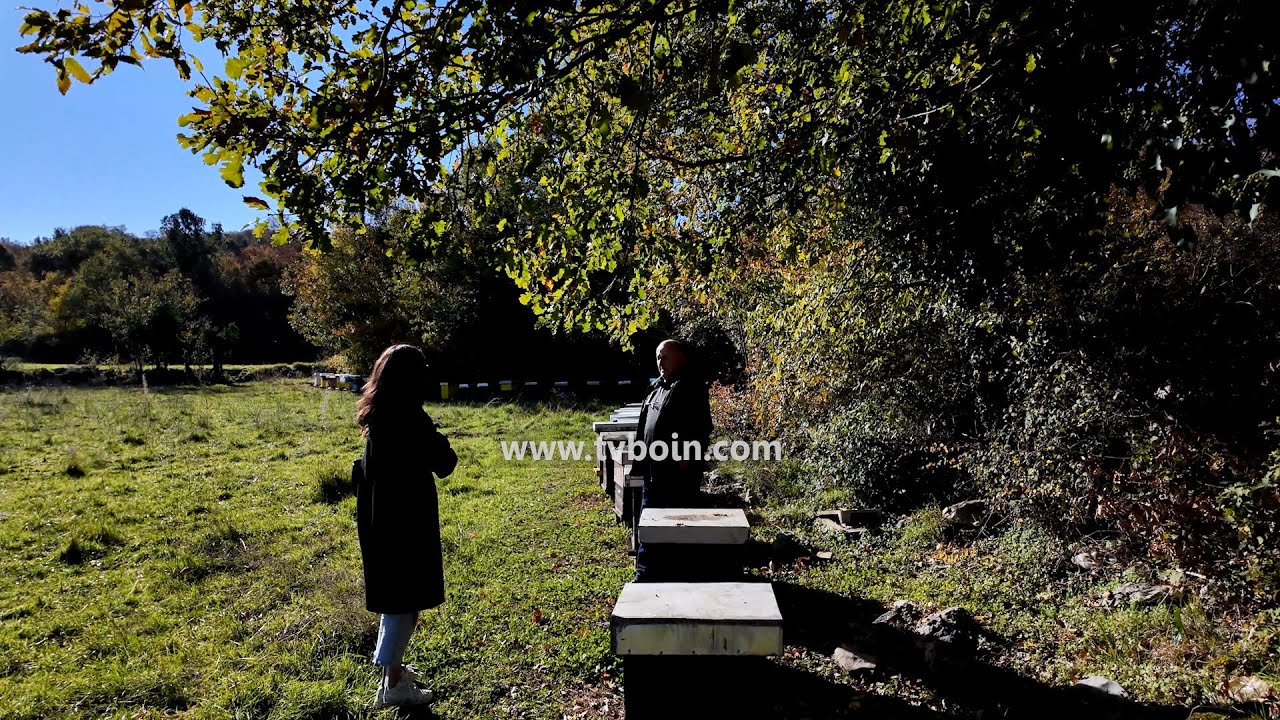 AKTUALE - Bletaria në Kshevë / Nua Sinishtaj