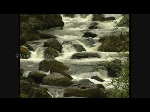 Bhutan Himalaya Sephu River Mountain Nature Scenes