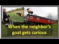 14x50 Shed Delivery To A GOAT! - - Something like that..