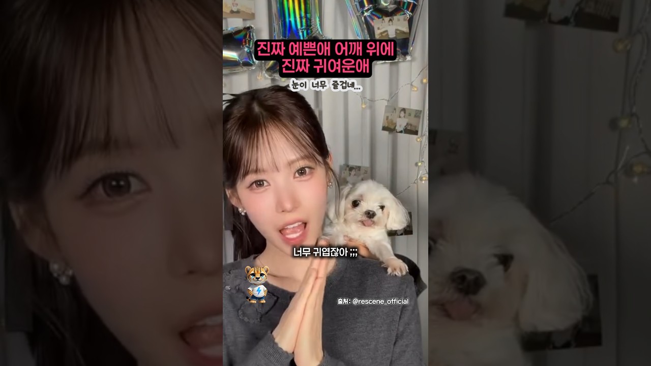 진짜 예쁜애 어깨 위에 진짜 귀여운애