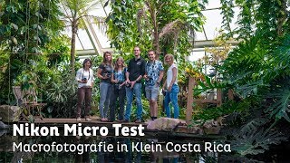 Nikkor Micro Test - Macrofotografie In Klein Costa Rica