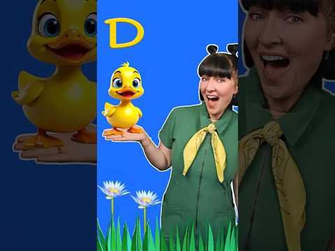 D Is For Duck Toddlers Learn Letters 