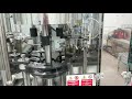 3000 bph wine bottling line