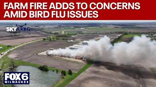 Palmyra egg farm fire adds to concerns amid bird flu issues | FOX6 News Milwaukee