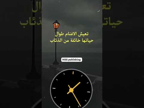 يدفعون المال لتجميل أشكالهم حكم