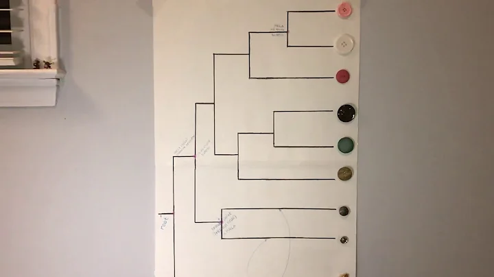 Phylogenetic Tree GN 311 5-1A