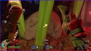 How to Equip Omni-Tool in Grounded 2