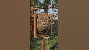 Is Turtle "BULLETPROOF"? #3danimation