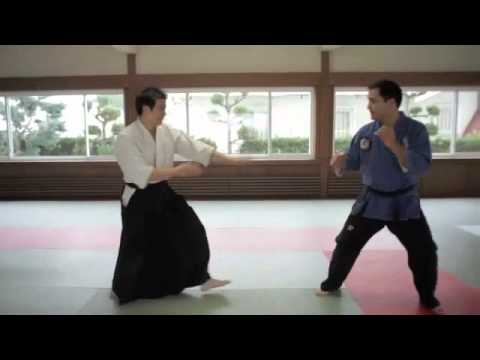 54 JuJutsu Techniques / Self Defence Syllabus / Traditional Japanese Ju Jutsu Ryu