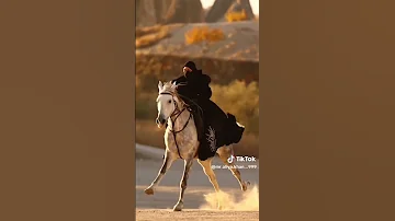سأنادي سأنادي ما بين الناس Shorts 