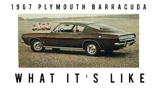 1967 Plymouth barracuda, 1st year of the second generation.￼