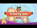 [Look like] It has big eyes - Educational Rap for Kids - English song with lyrics