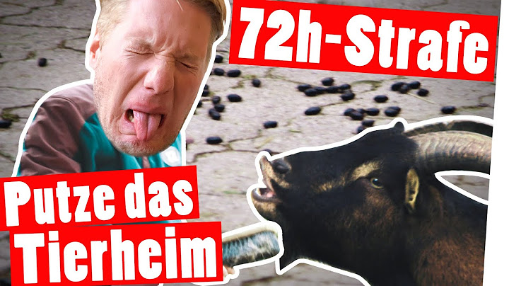 72h-Strafe: 1 Tag im Tierheim – 72 Sozialstunden für Marc || Das schaffst du nie!
