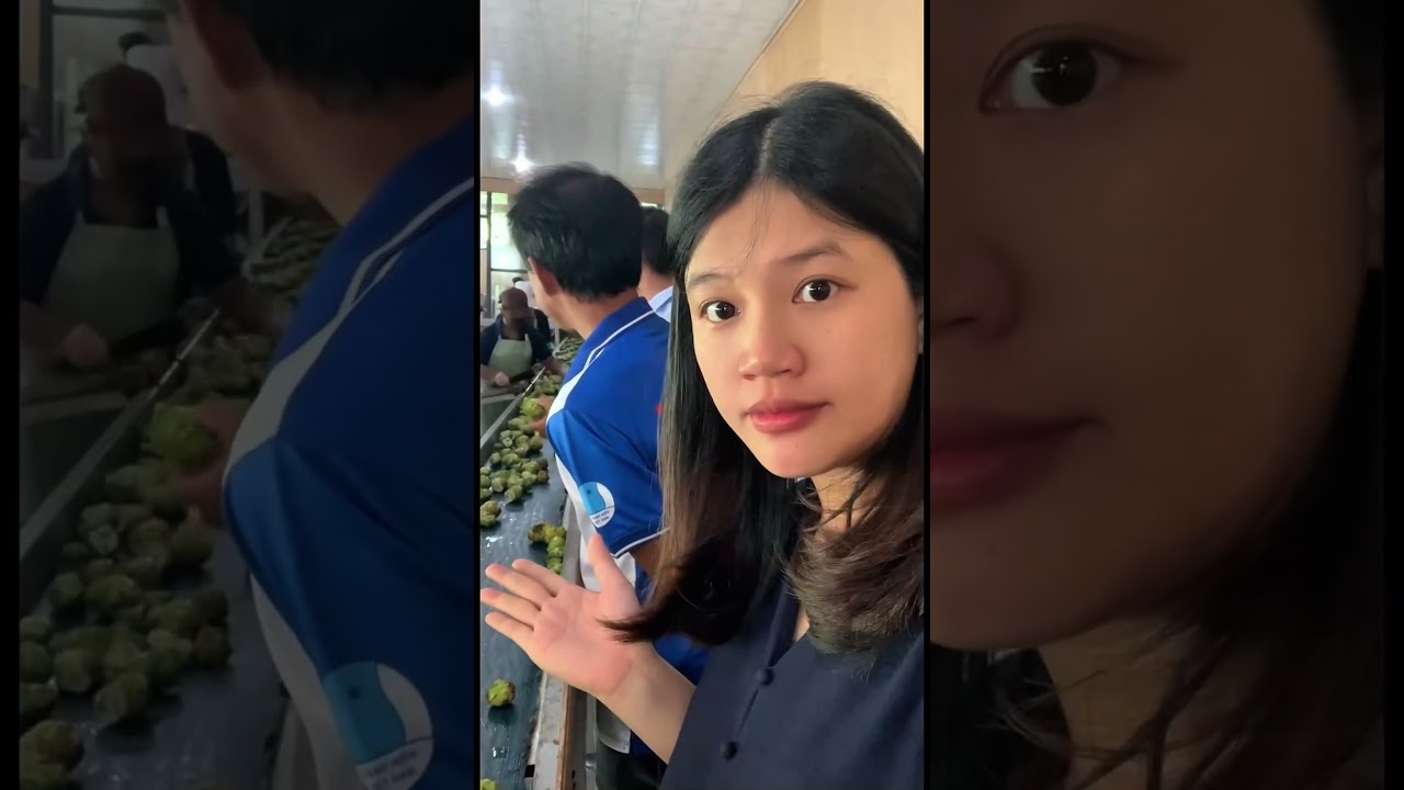 Đoàn thanh niên khởi nghiệp vũng tàu đến thăm quan nhà máy phong thảo #nuoccotnhauphongthao