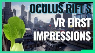 My First Experience with True VR : Oculus Rift S
