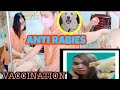 Gucci Anti Rabies Vaccination and Anti Fever Cough and Cold at Jacob Veterinary Clinic