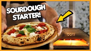 Neapolitan sourdough pizza dough full recipe 🍕