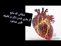 دو صفتی که مانع از رشد روحانی و بیداریه لطیفه قلب میشه 