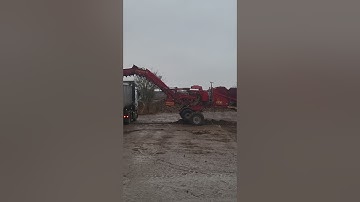 CTM sugarbeet cleaner loading beet