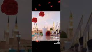 Medi̇neni̇n Yollari