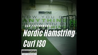 Nordic Hamstring Curl ISO