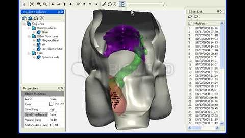 BioVis3D Demonstration
