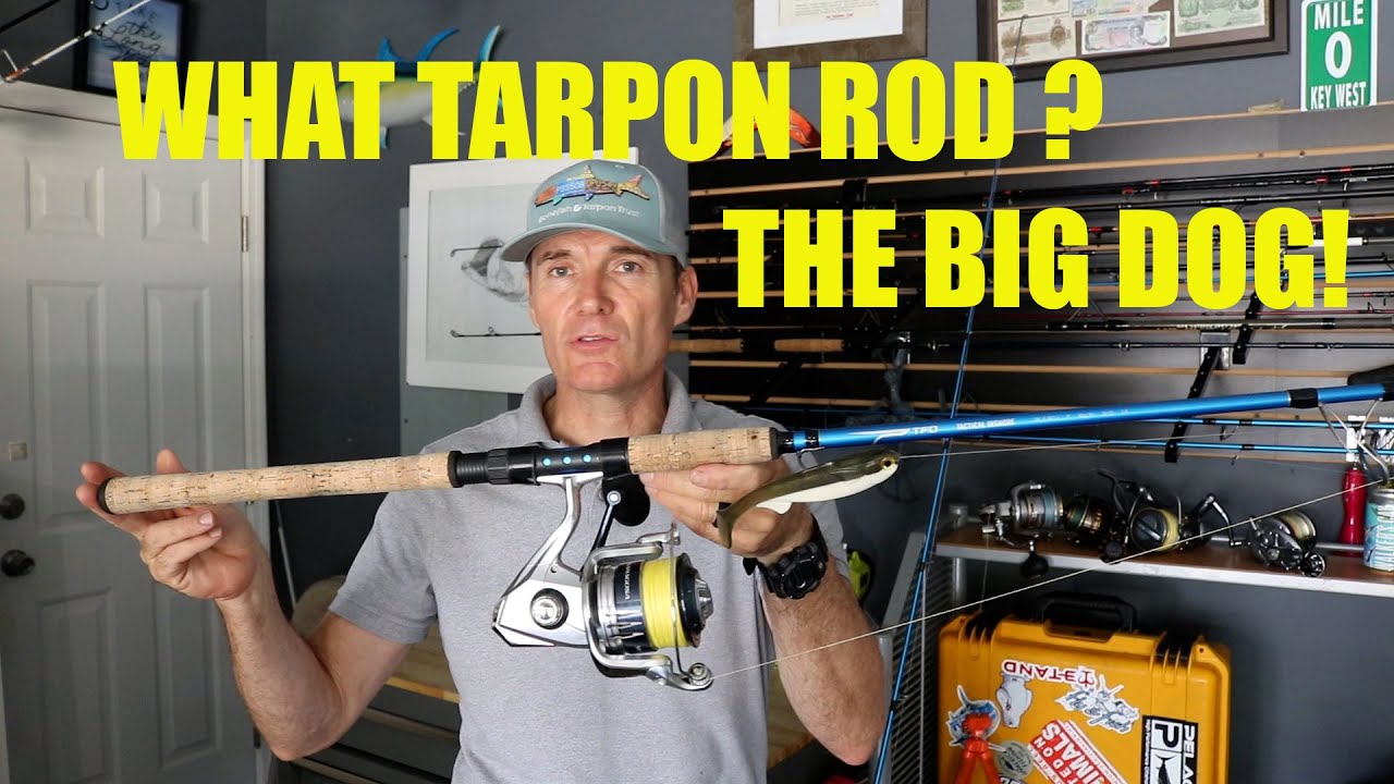 What Tarpon Rod and Reel Combo Part 2 TFO Tactical Inshore Miami Tarpon  Fishing