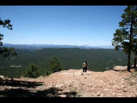 Nick Wild Music - Umbrella