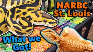 What we got at St. Louis Reptile Expo! *New species!*