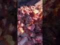 Black Diamond Oxtail Process at Destination Smokehouse in Southern California #bbq #food #foodie