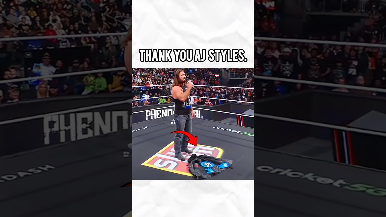 Did Undertaker Just End AJ Styles’ Retirement on WWE RAW?