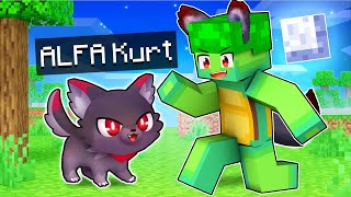 ALFA KURT'U BÜYÜTTÜM! 🐺 - Minecraft