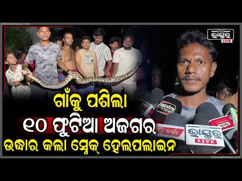 ମାଲକାନଗିରିରେ ୧୦ ଫୁଟିଆ ବିଶାଳ ଅଜଗର ଉଦ୍ଧାର  | 10-Foot Giant Python Rescued