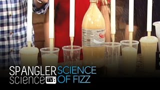 The Science of Fizz - Cool Science Experiment screenshot 5