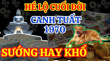 Dự ngôn chấn động, cuộc đời tuổi Tân Hợi 1971 về già lộc trời rơi tận cửa, Phước Đức Ngập Lối