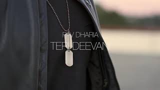 Teri Deevani [COVER SonG] (DJJOhAL.Com)