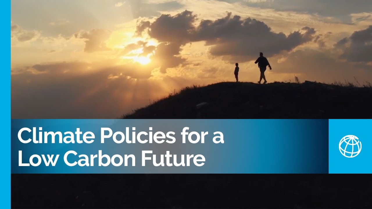 Climate Policies for a Low-Carbon Future: Lessons from 25 Case Studies