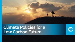 Climate Policies for a Low-Carbon Future: Lessons from 25 Case Studies