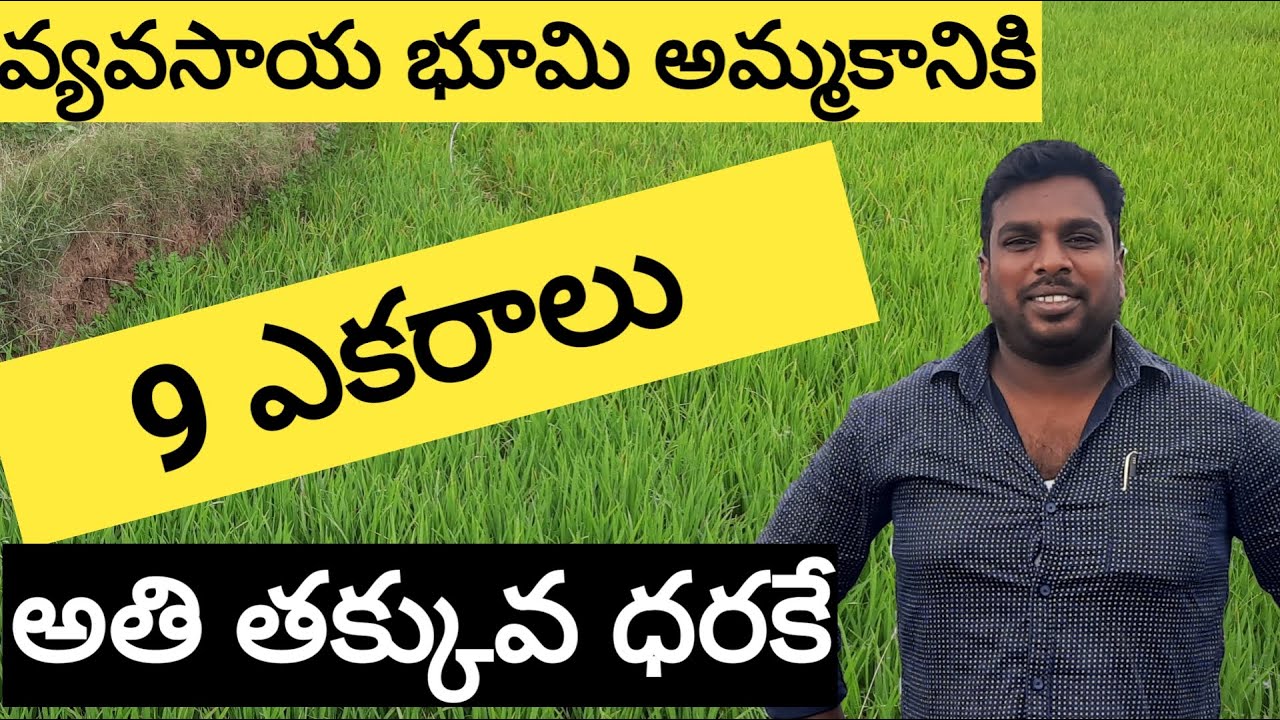 Low price Land for sale in Telangana తక్కువ ధరకే మరో వ్యవసాయ భూమి