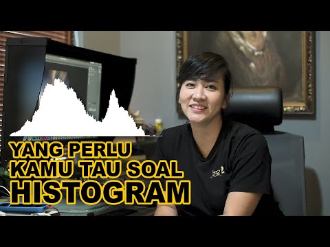 Video: Cara Membaca Histogram