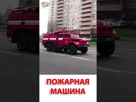 Изучаем транспорт и спецтехнику. Видео про машинки #пожарнаямашина