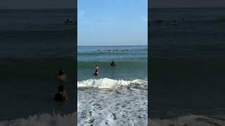 IMG 0920