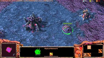 StarCraft 2 Nydus Network Tactics